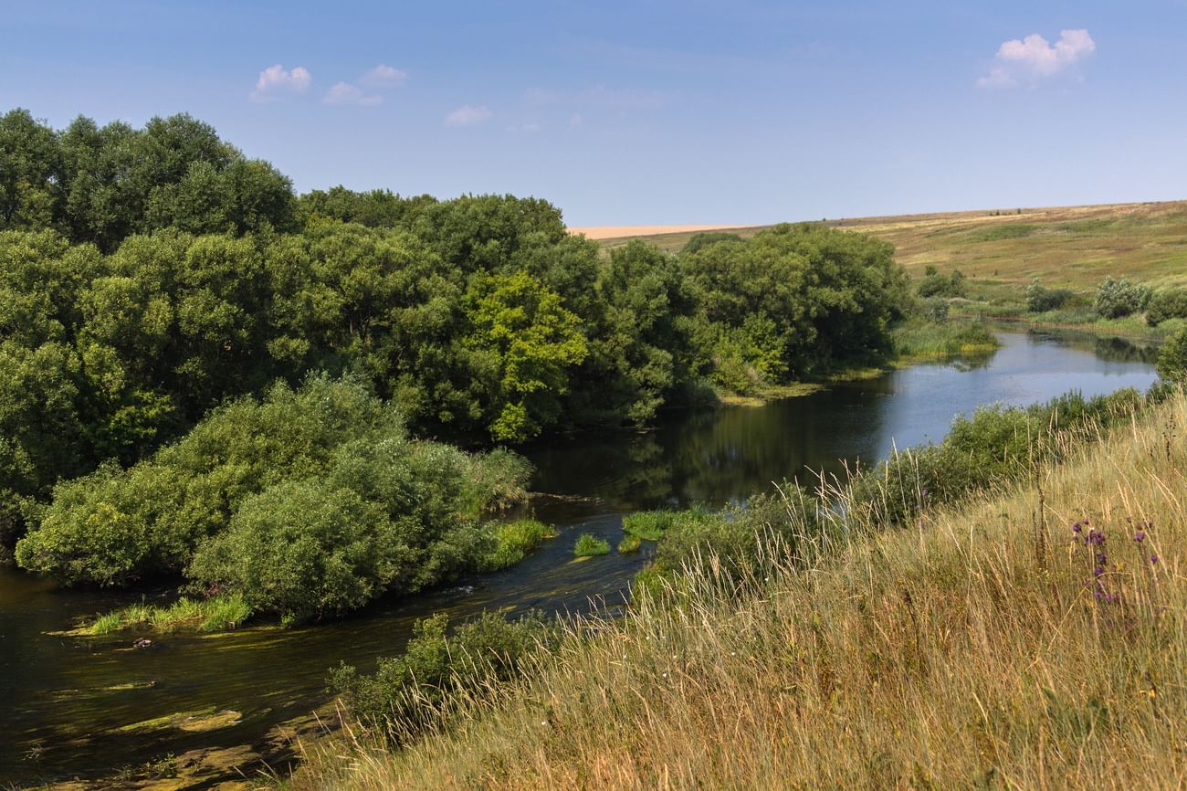 Река проня рязанской области фото