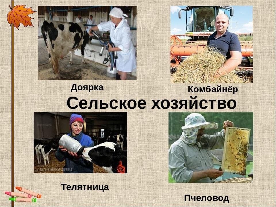 Приведи примеры разных профессий 2 класс
