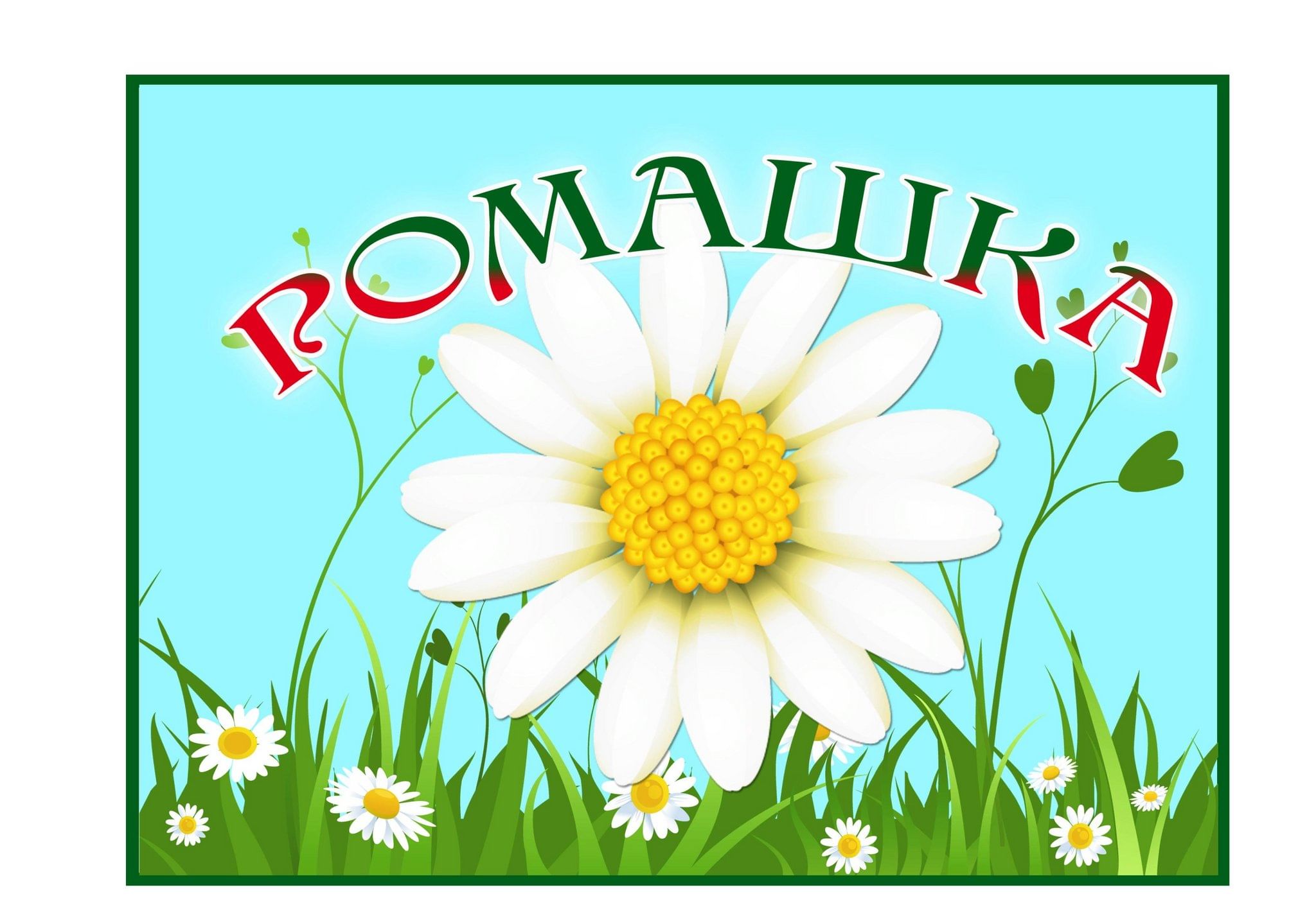 Картинка группа ромашка