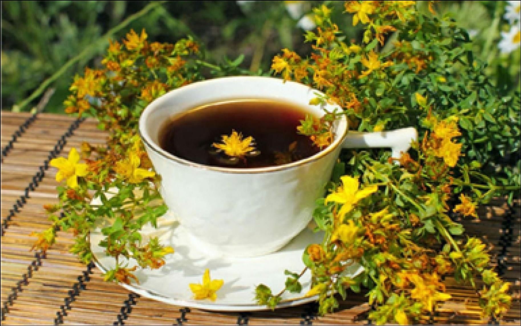 Осень какая трава. Зверобой продырявленный чай. Трава чай зверобой зверобой. Настой травы зверобоя. Чай с лекарственными травами.