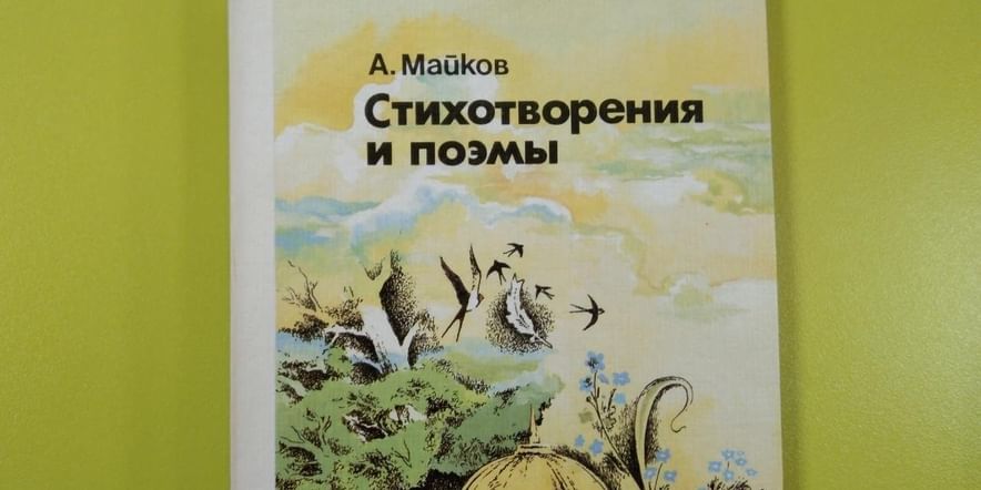 Проект книжная полка и современный читатель