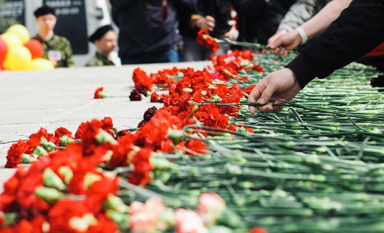 Гвоздики цветы на вечном огне