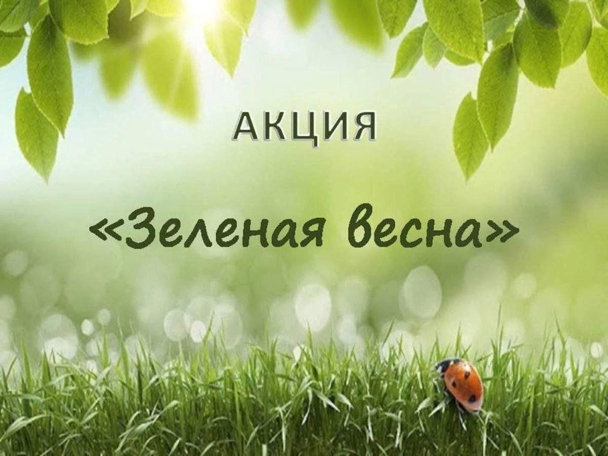 Экологическая Весна