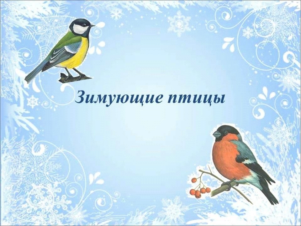 Проект зимующие птицы