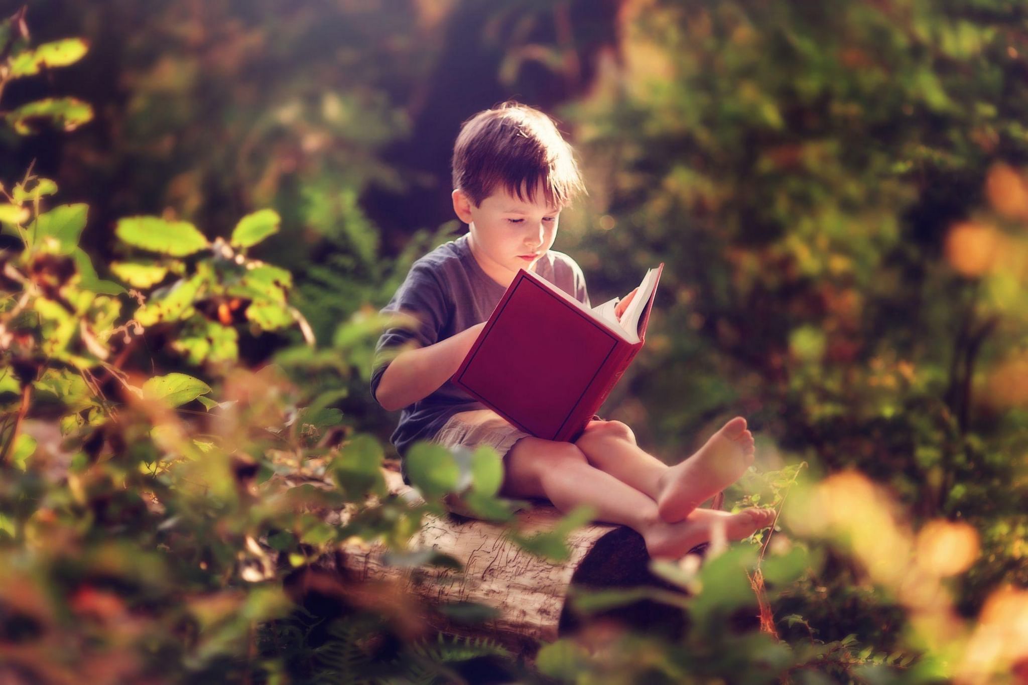 Дети с книгой летом картинка
