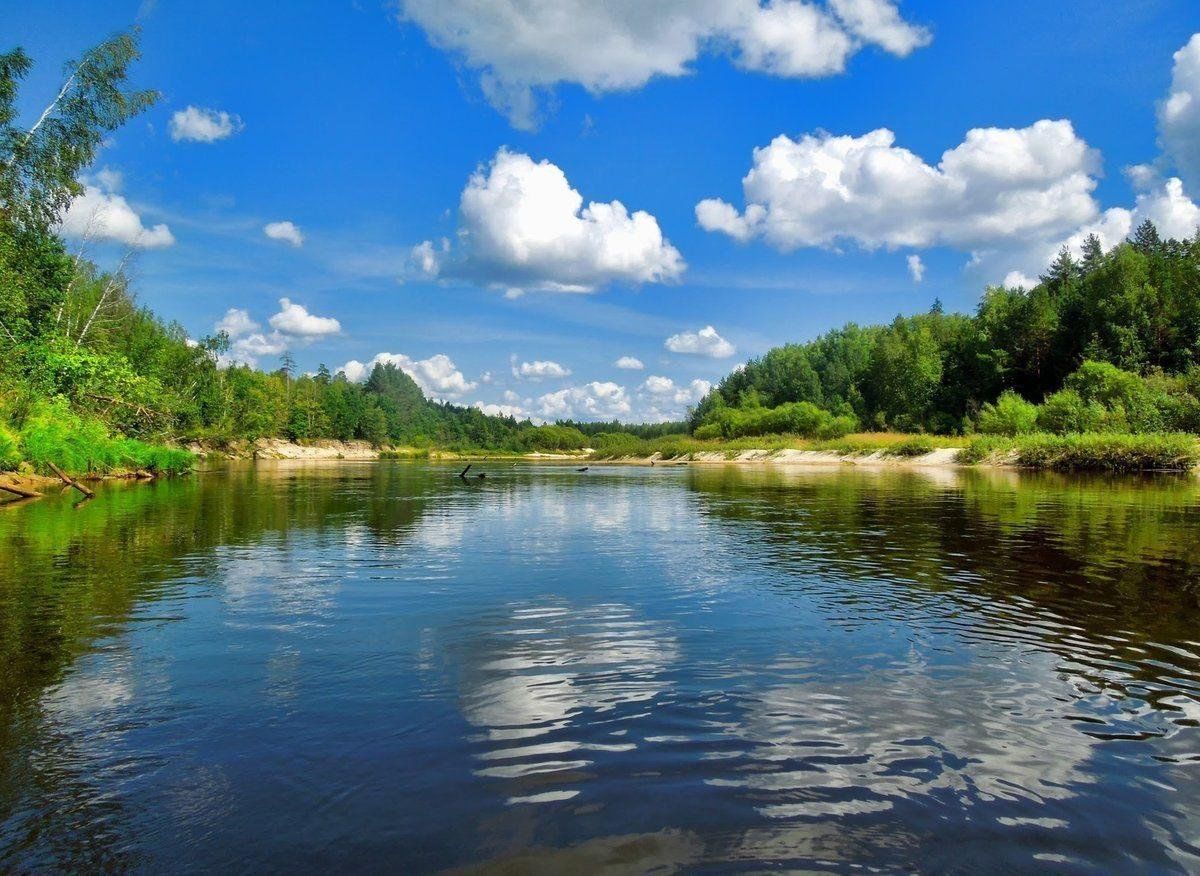Река фото хорошем качестве