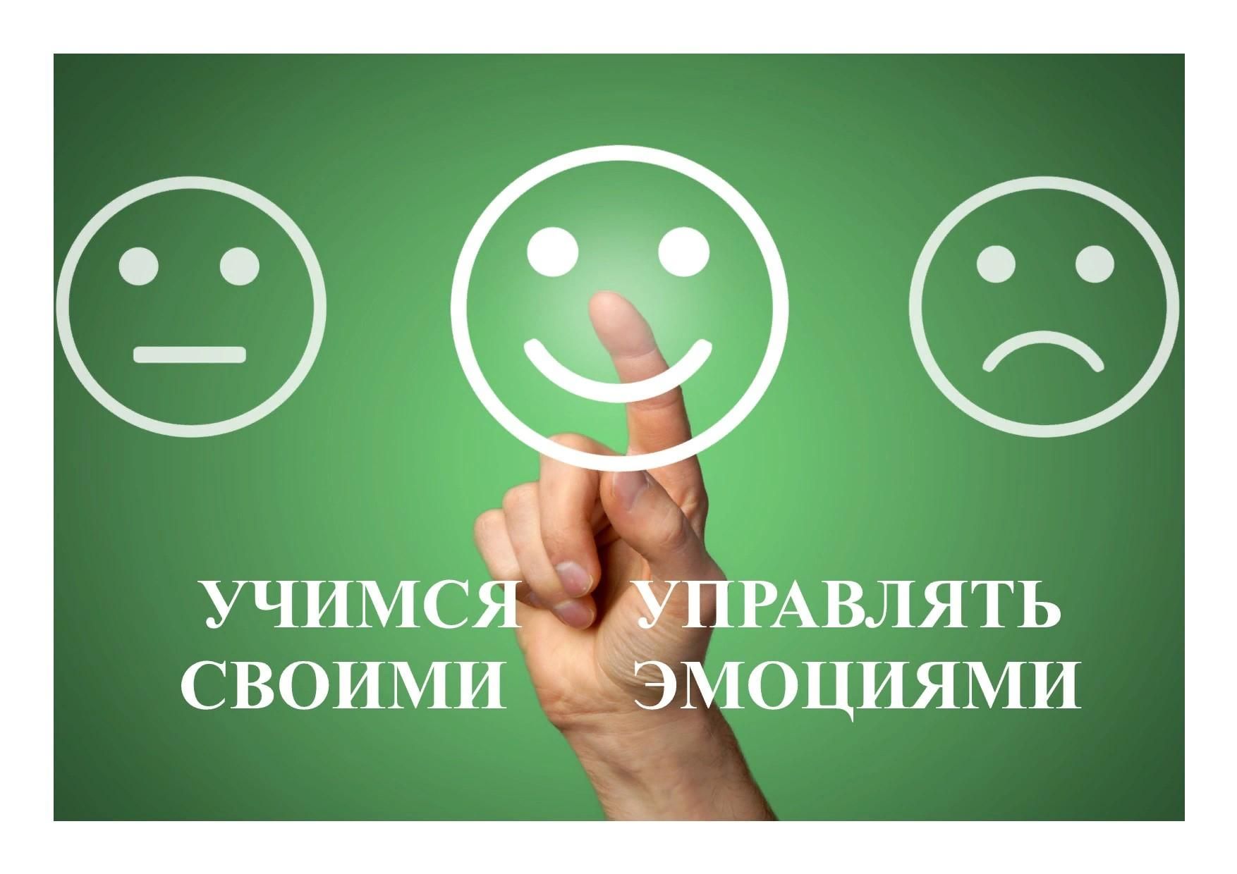 Эмоции в жизни человека проект Учимся строить отношения и управлять своими эмоциями" 2022, Прохладненский район