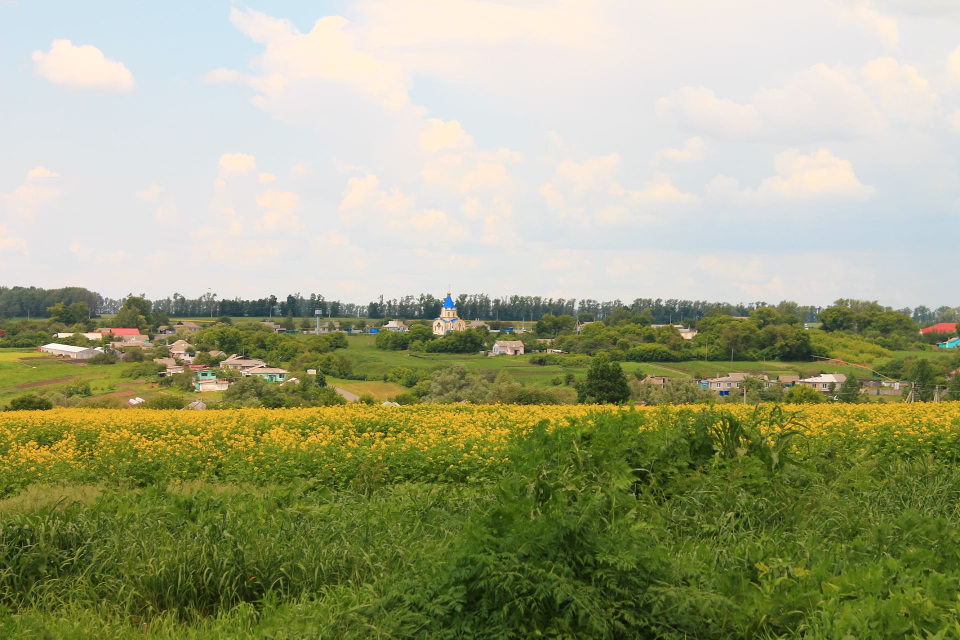 Село мала. Прохоровский район село малые маячки. Малые маячки Прохоровского района Белгородской области. Село малые маячки Белгородская область. Село в объективе.