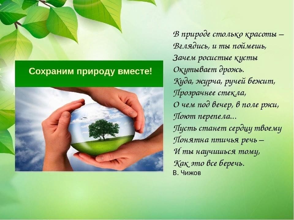 Классный час по экологии 5 класс презентация