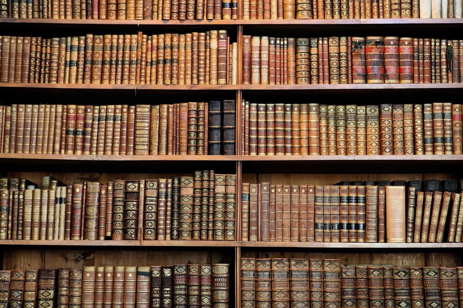 Книжные файлы. Книжные полки. Стеллаж для книг. Полка с русскими книгами. Книги на полках.