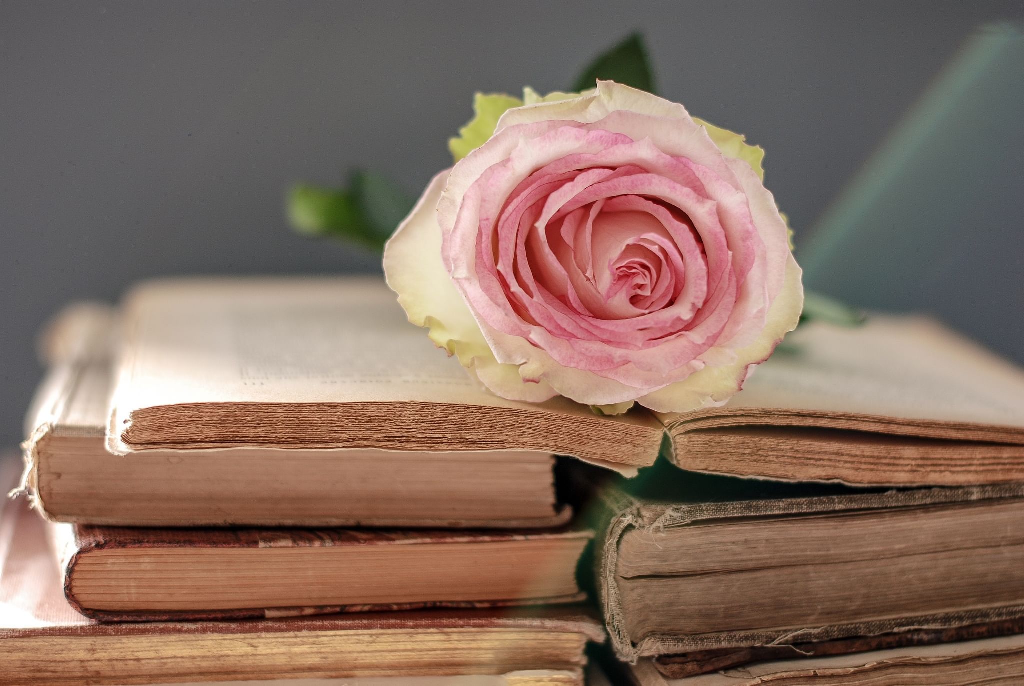 Flowers books. Книга цветы. Красивый фон с книгами. Книжные цветы. Красивые книги.