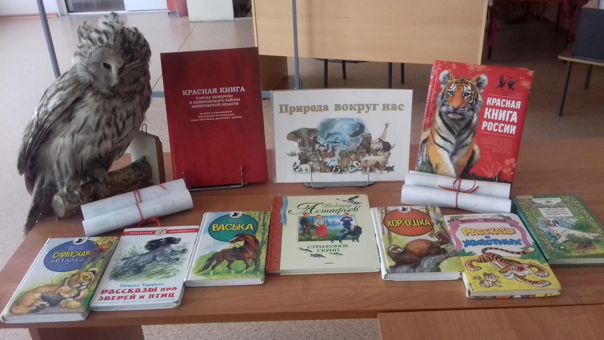 Книжная выставка ко дню защиты животных. Выставка ко Дню защиты животных. Книжная выставка к Дню защиты животных. Книжные выставки к 4 октября день защиты животных. Эко час в библиотеке.