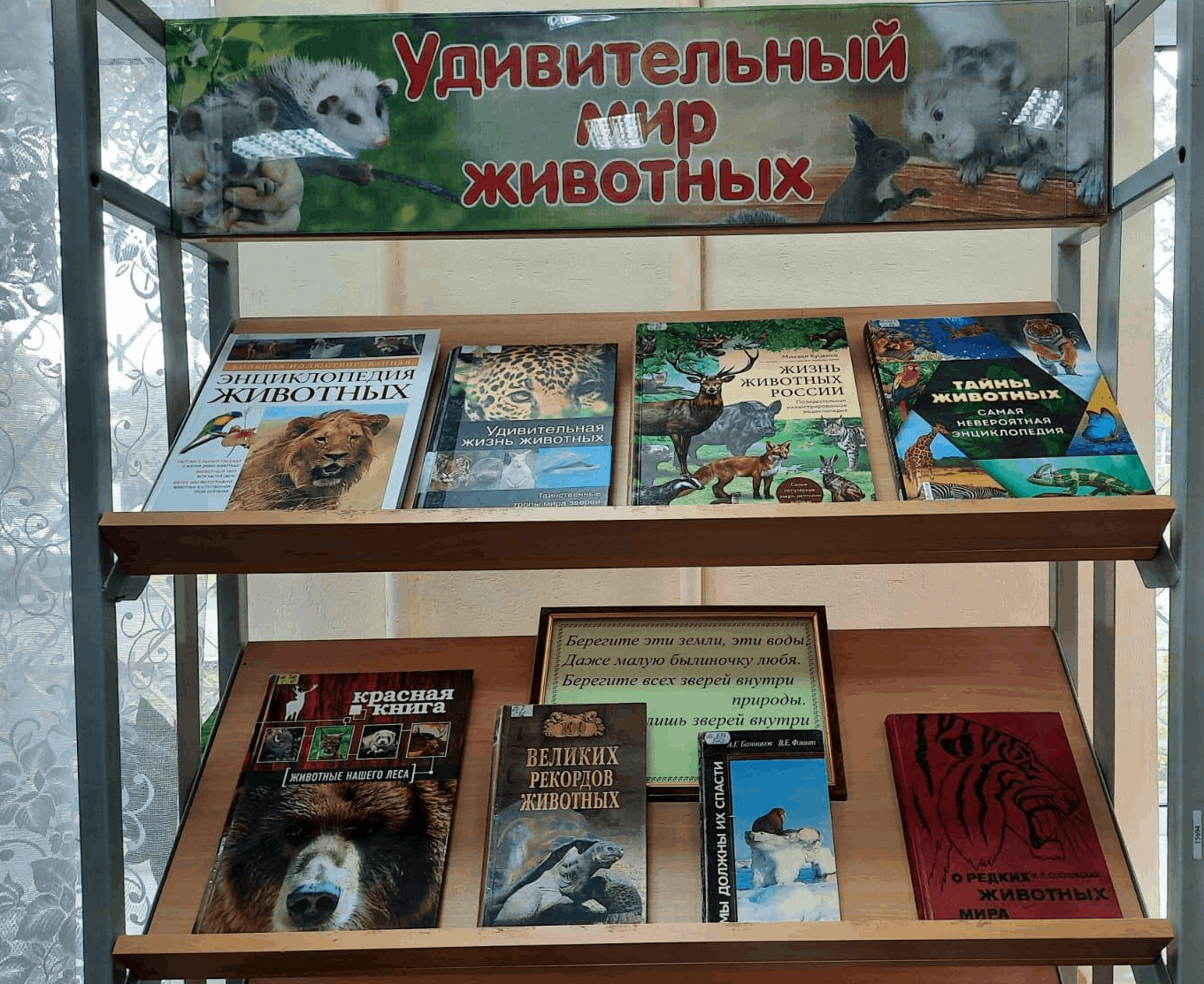 Книжная выставка «Удивительный мир животных» 2024, Уфа — дата и место  проведения, программа мероприятия.