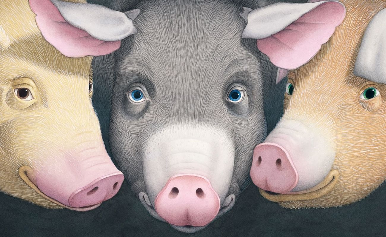 Как видят свиньи. Three Pigs. Piggy Автор книги. Pig Wolf 3. Malezor three Pigs.