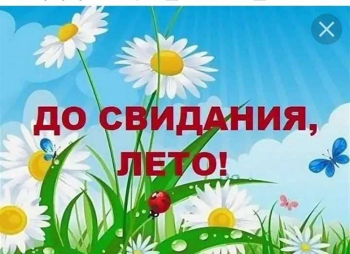До лета неделя картинки
