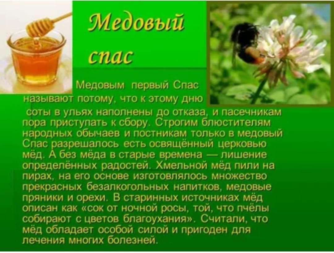 Проект на тему мед 5 класс фгос Медовый Спас "Ах как вкусно. "беседа и дегустация с детьми. 14.08.2023 г 2023, К