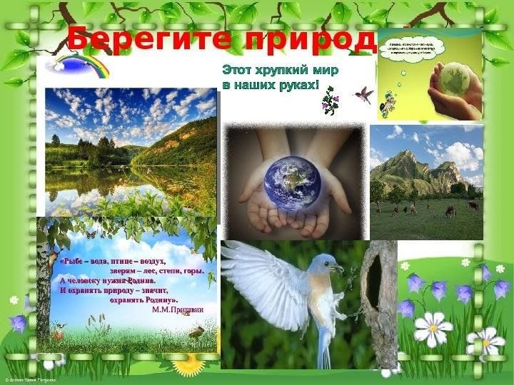 Проект по окружающему миру бережем природу