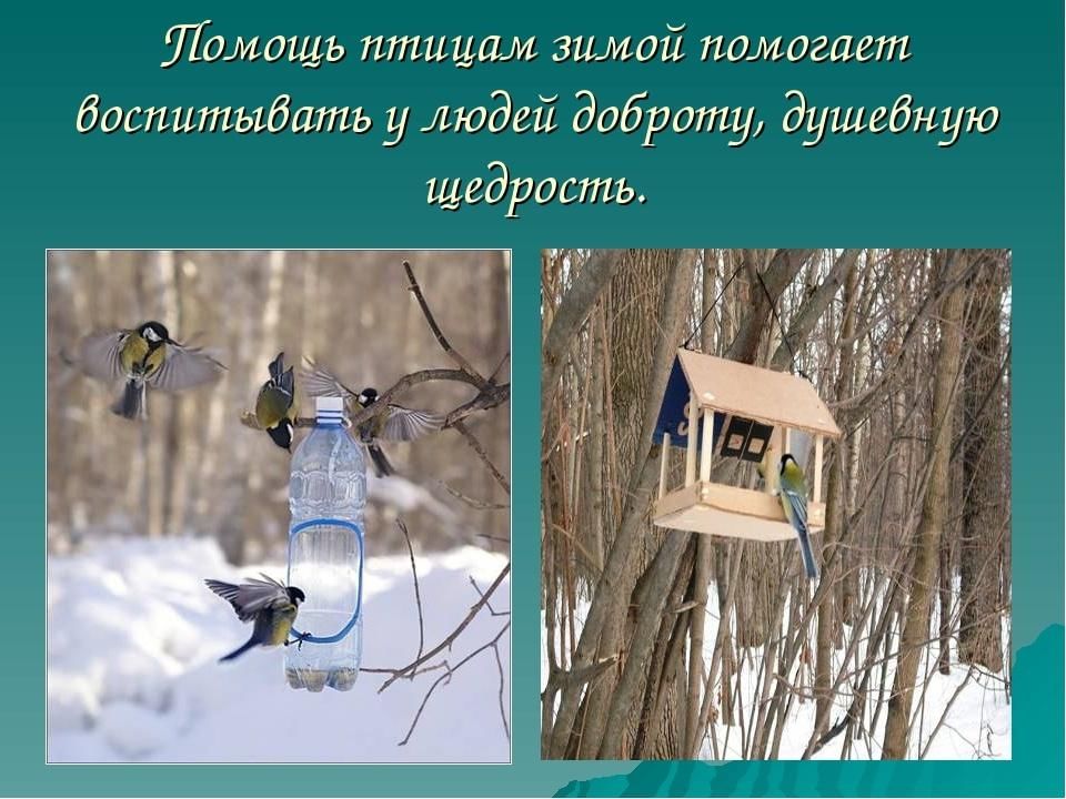 Птицы которые помогают человеку