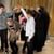 Познавательно–игровая программа«Старинные русские игры и забавы на Руси»