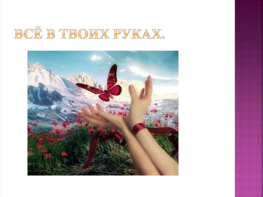 Проект жизнь в твоих руках