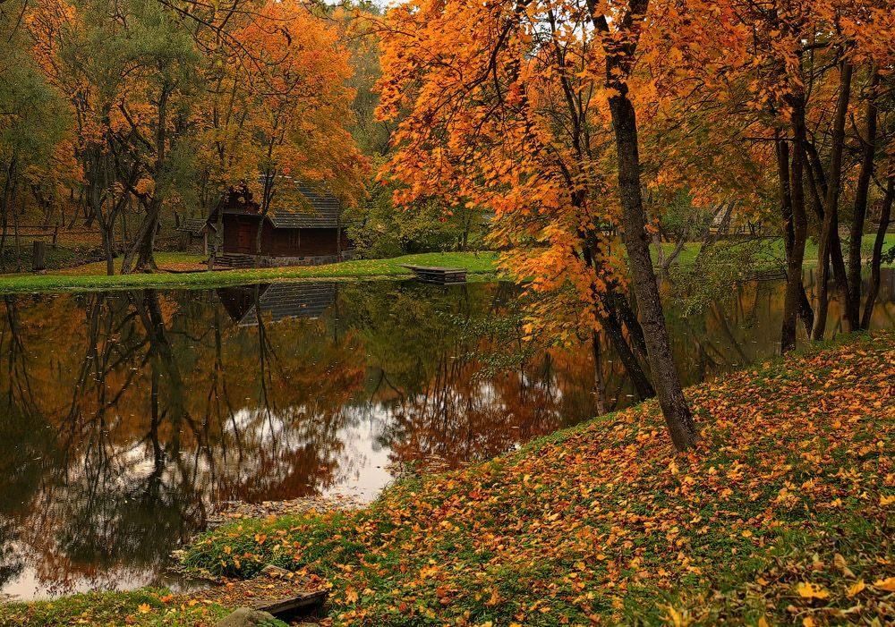 Фотки октября. Осень октябрь. Октябрь середина осени. Октябрь природа осенью. Октябрь фото.