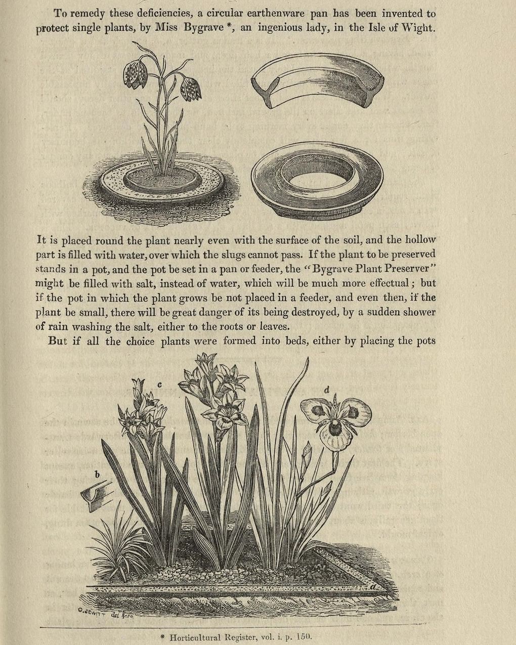 Ботанический журнал Пакстона. Лондон, Англия. Издательство: «Orr and Smith», 1834. Российская государственная библиотека, Москва