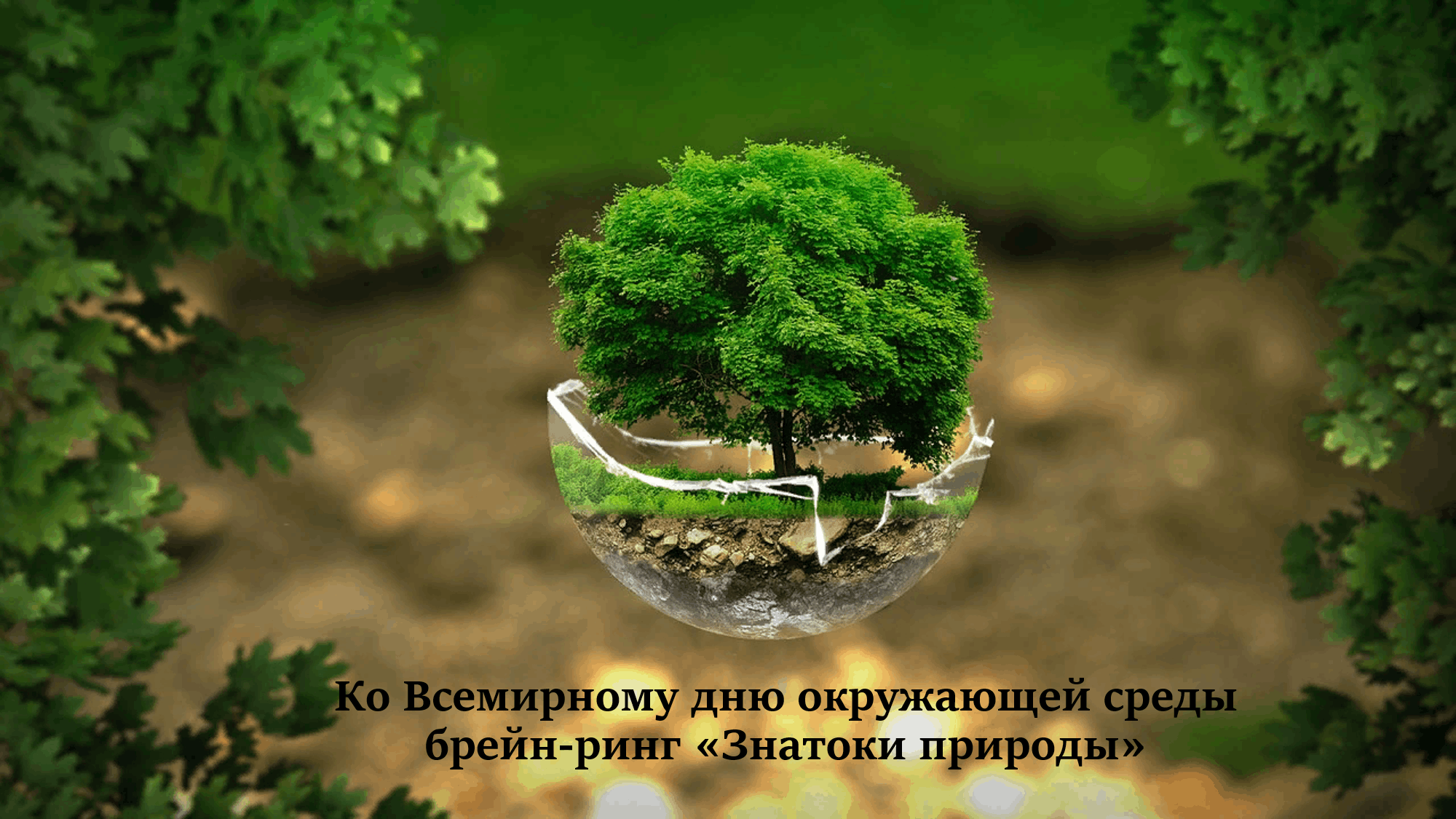 Брейн-ринг «Знатоки природы» 2022, Стерлитамак — дата и место проведения,  программа мероприятия.