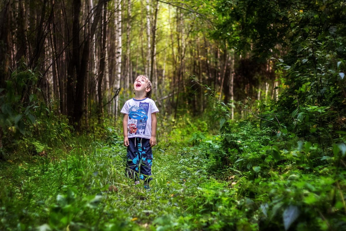 Фото детей в лесу