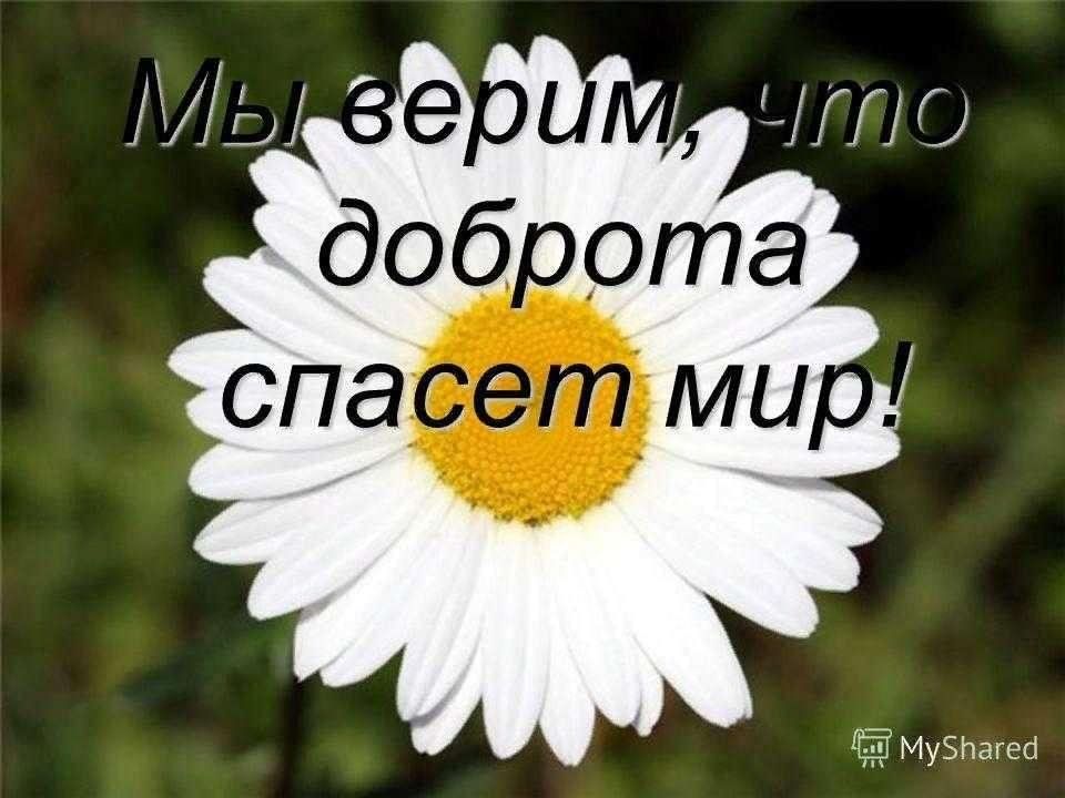 Доброта спасет мир презентация. Доброта спасет мир. Надпись доброта спасет мир. Только доброта спасет мир. Доброта спасет мир картинки.