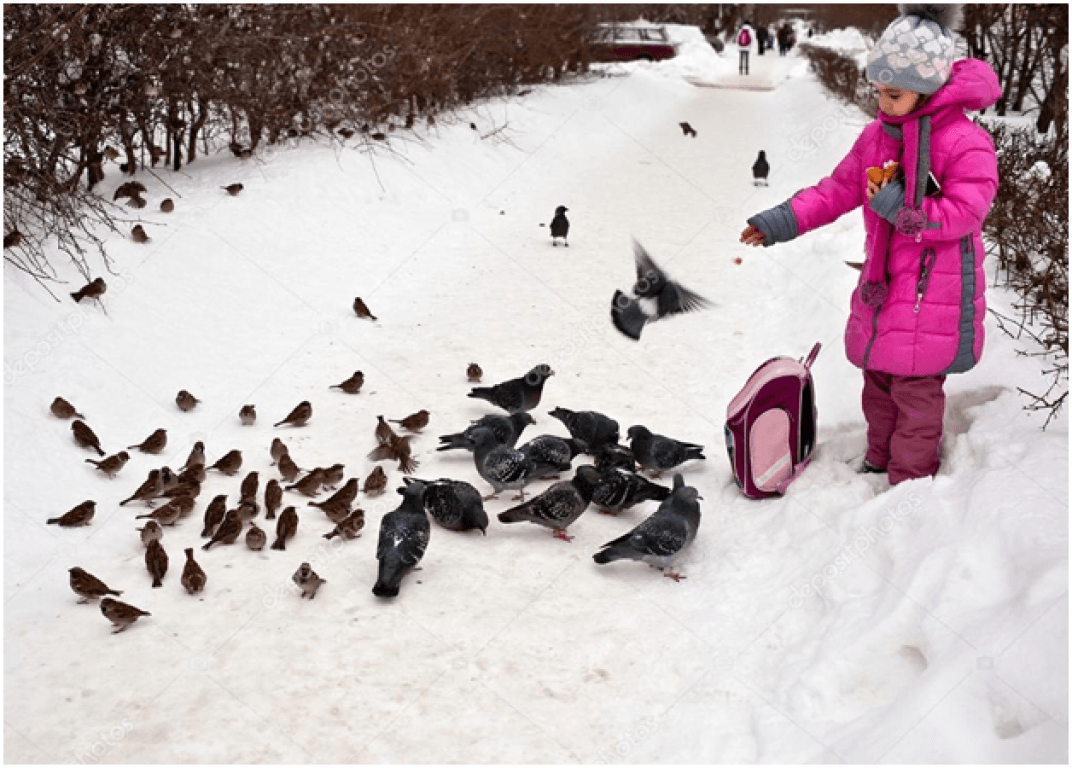 Зима крошки. Дети кормят птиц. Дети кормят птиц зимой. Человек кормит птиц. Кормим птиц зимой.