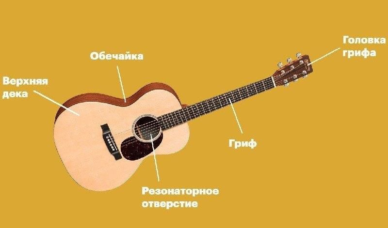 Что находится внутри гитары Строение классической гитары. 2023, Буинск - дата и место проведения, программа 