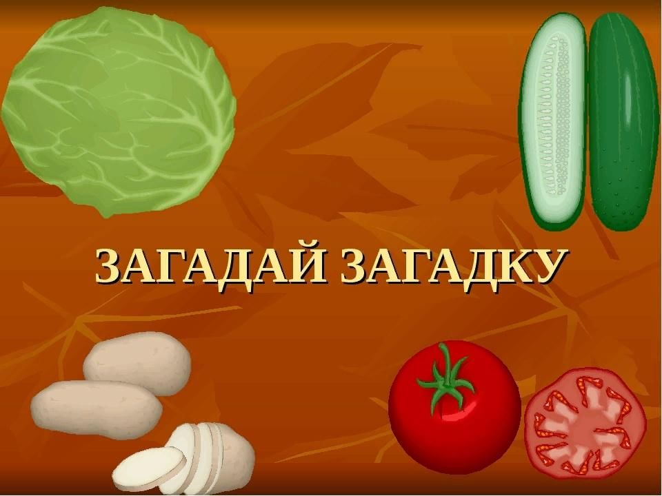 День загадок