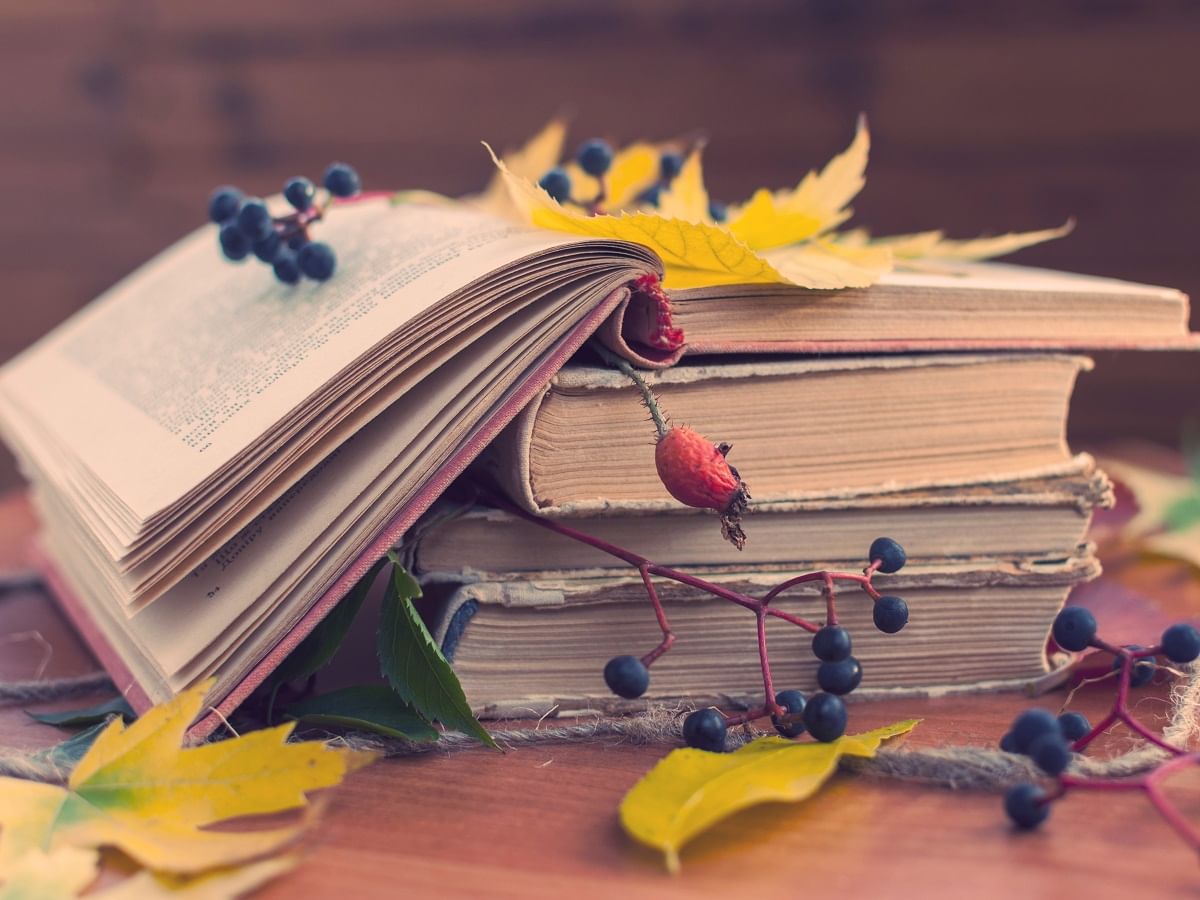 Autumn books. Книги про осень. Книжная осень. Книжки про осень. Осенняя книга.