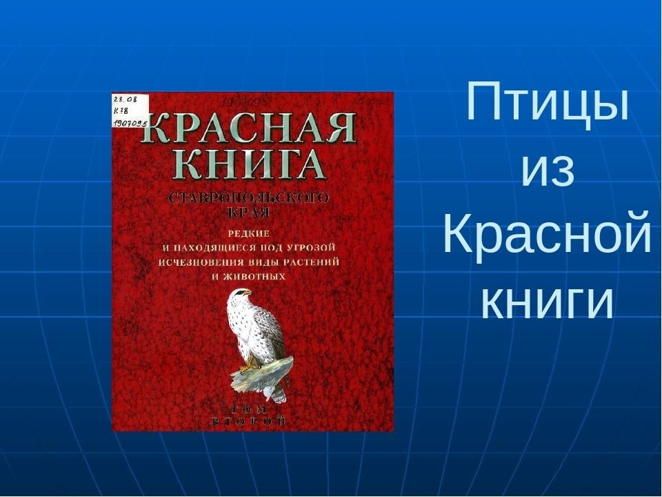 Красная книга список птиц