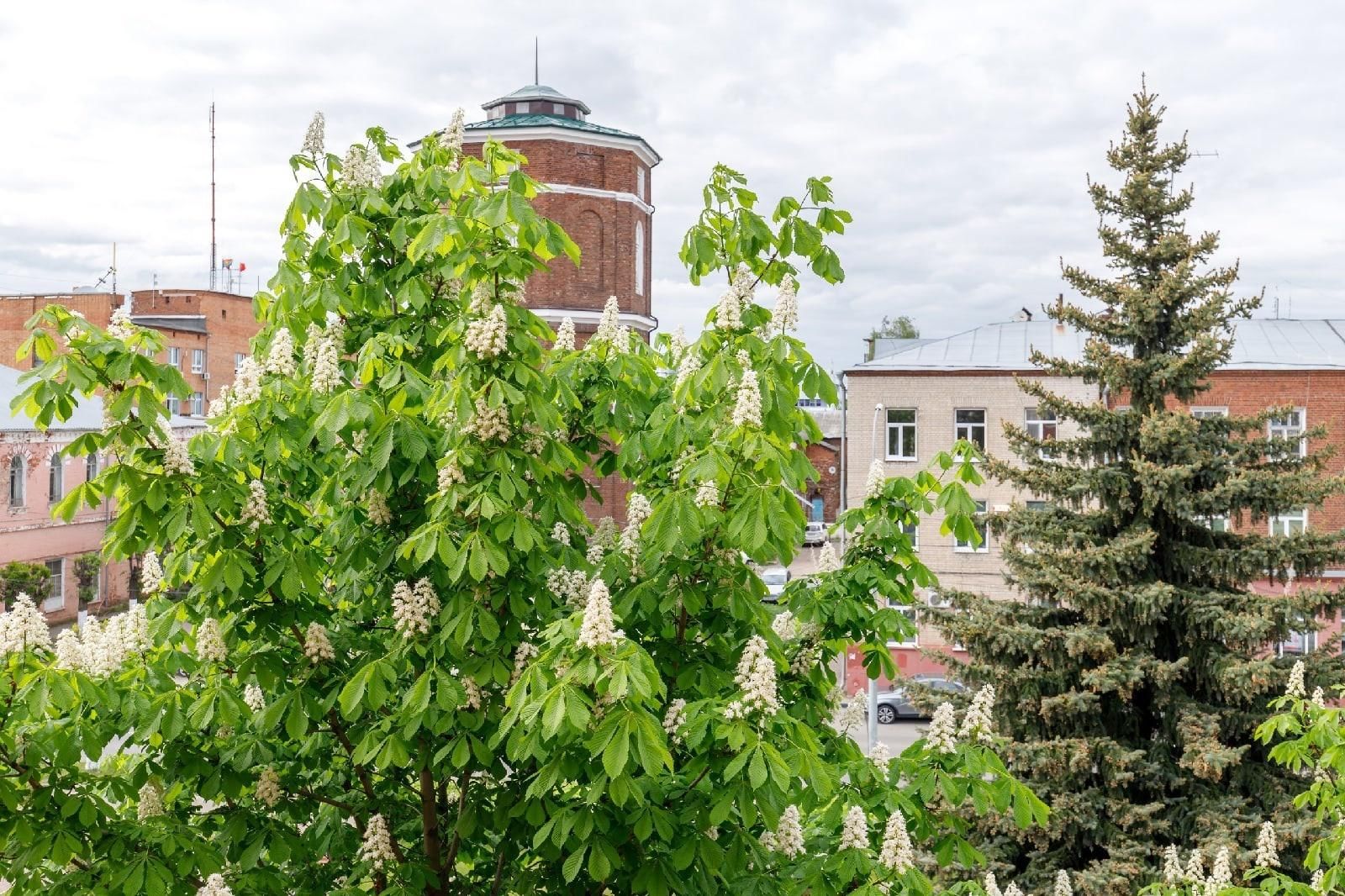 Пешеходная экскурсия «Павловский Посад купеческий» 2021, Павловский Посад —  дата и место проведения, программа мероприятия.