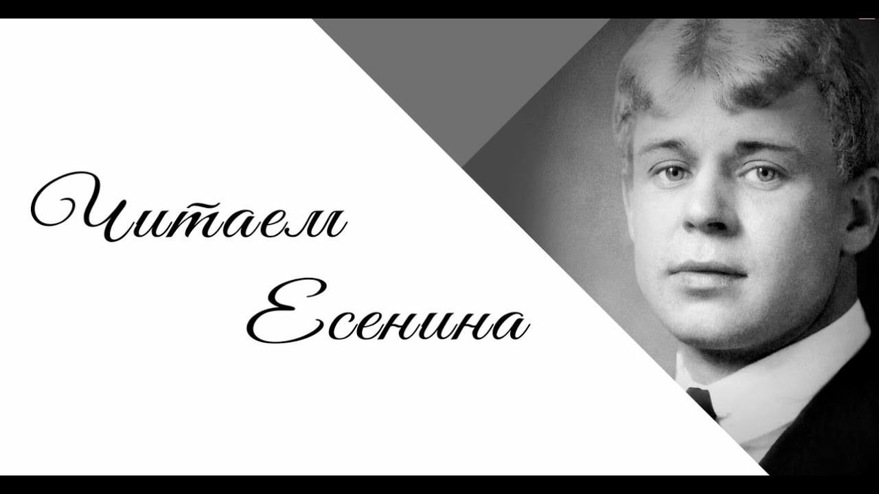 Страна читающая есенин. Есенин фон. Есенин картинки. Есенин баннер.