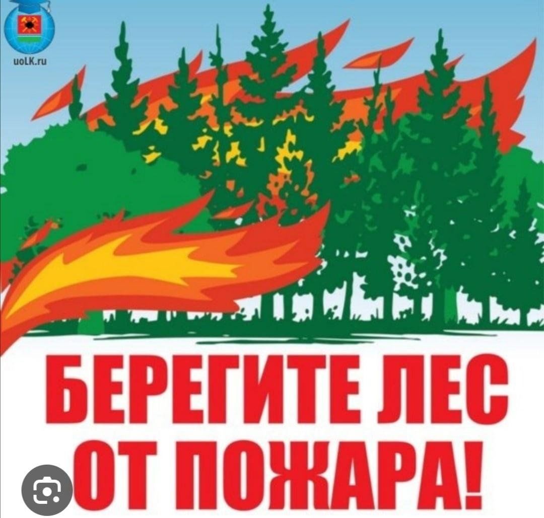 Охрана безопасность леса