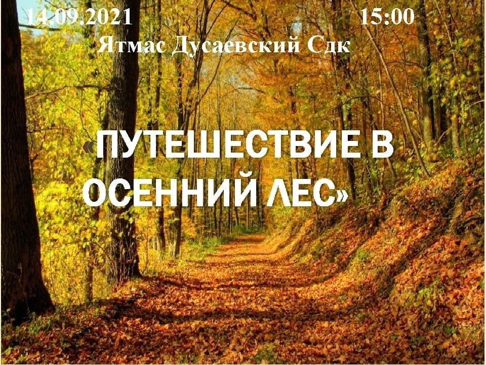 Презентация экскурсия в лес