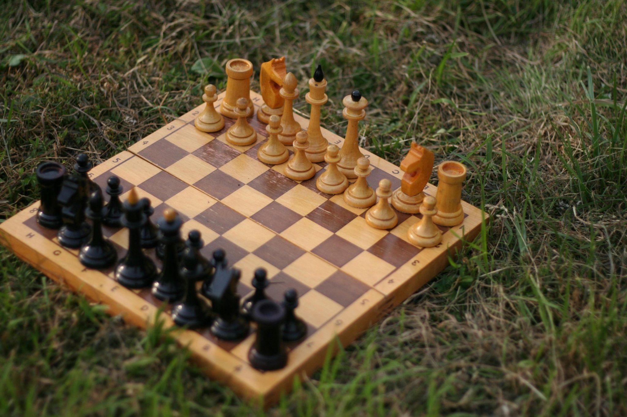Шахматы на 1 экране. Шахматы на природе. Шахматы на траве. Летние шахматы. Шахматы летом.