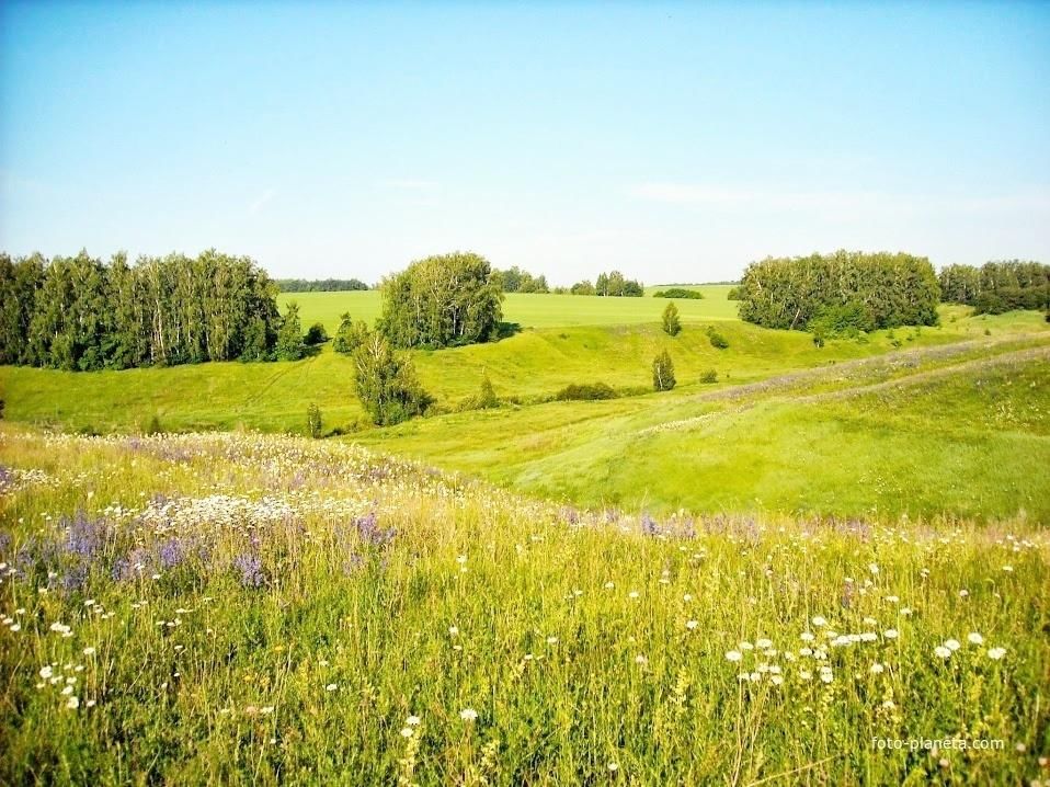 Родной б. Родные просторы Ступино. Русские просторы. Фатеж природа. Природа Фатежского района.