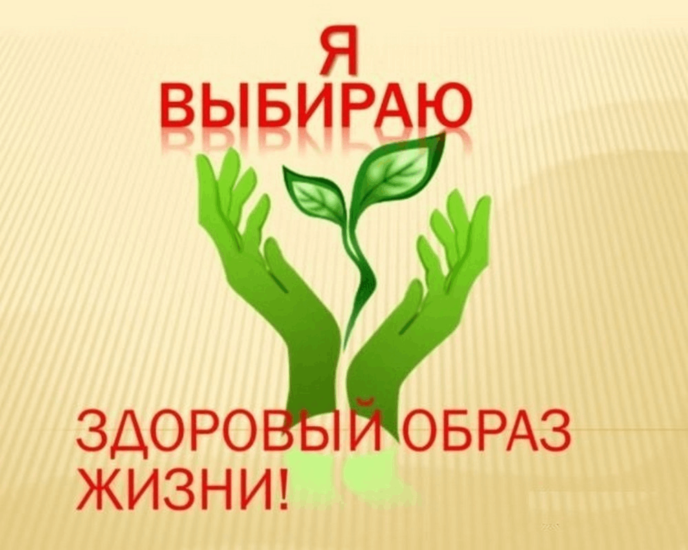 Мой выбор здоровый образ жизни презентация