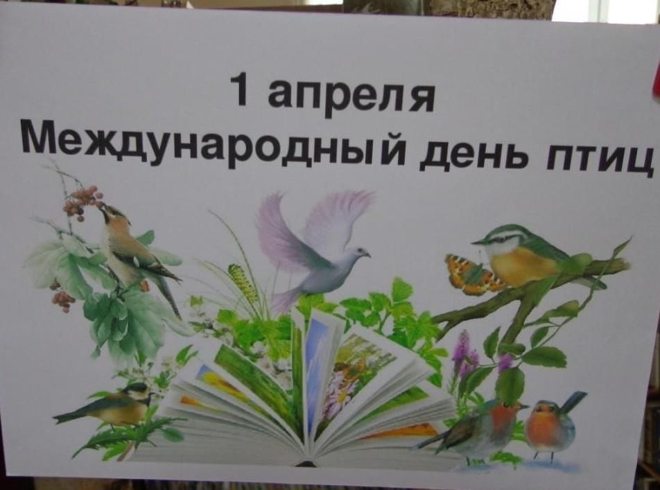 1 апреля день птиц картинки