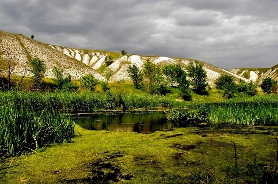 Заповедник белогорье картинки