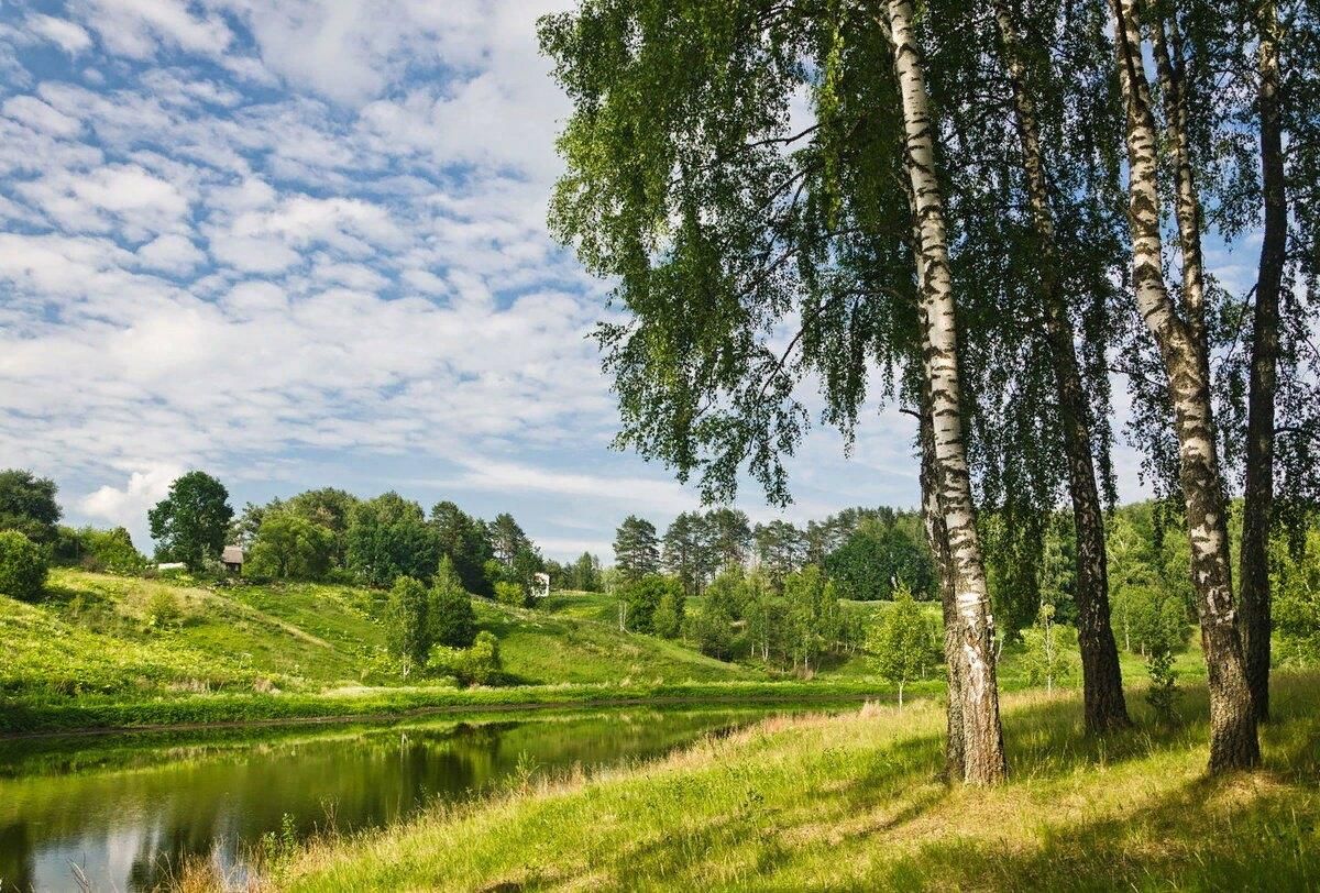 Родина в картинках