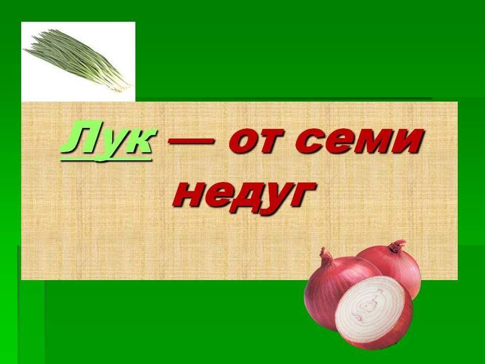 Проект лук от семи недуг 5 класс