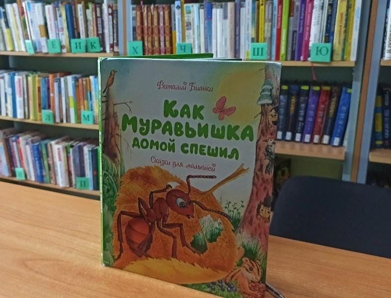 Книжный челны