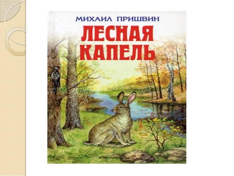 Лесная капель картинки