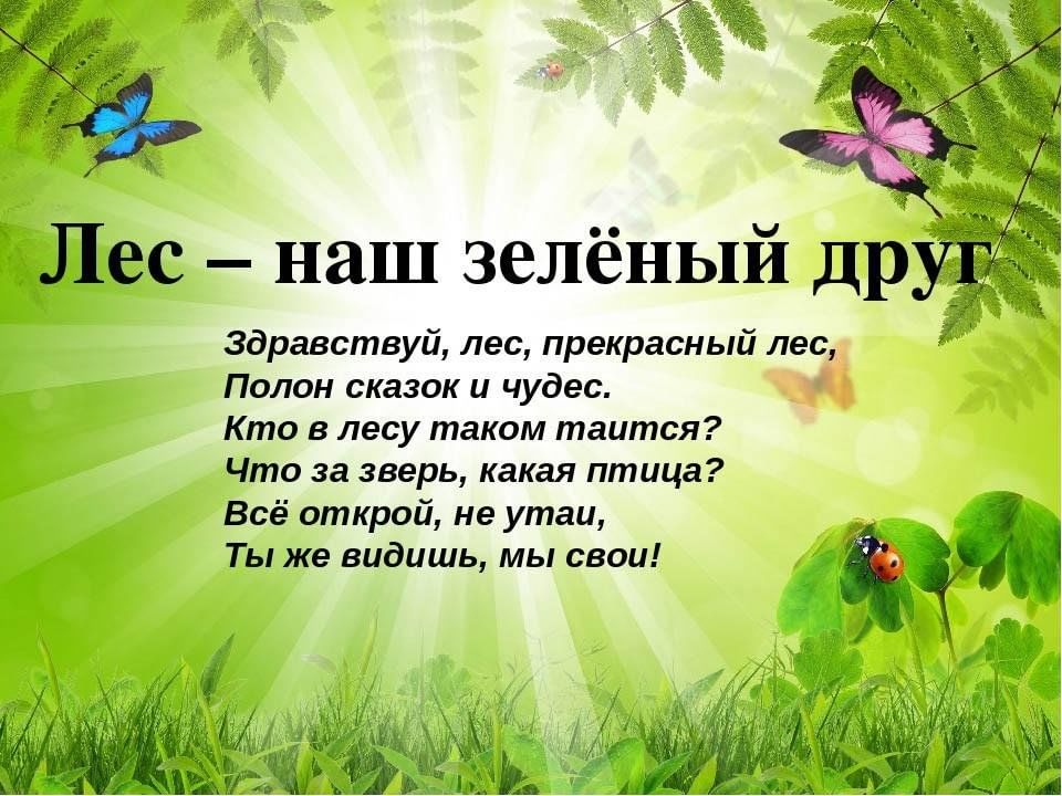 Проект на тему красота природы