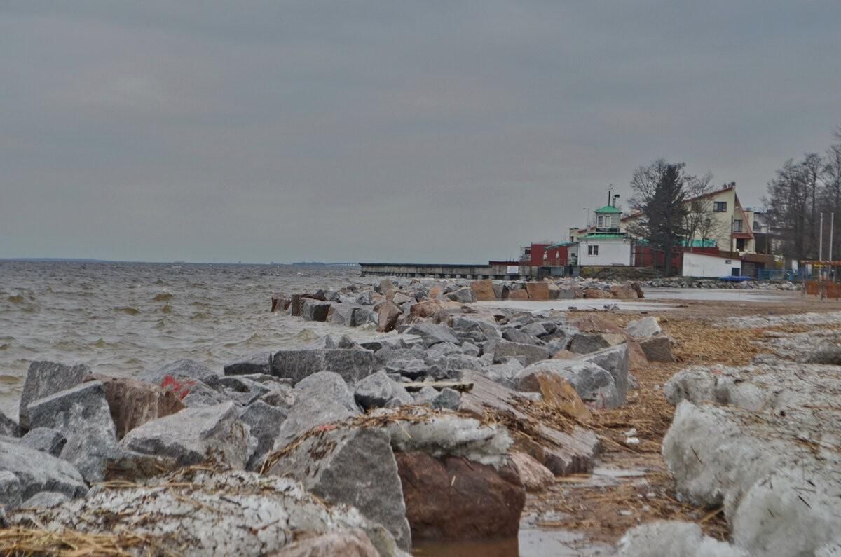 Морские дубки пляж лисий нос