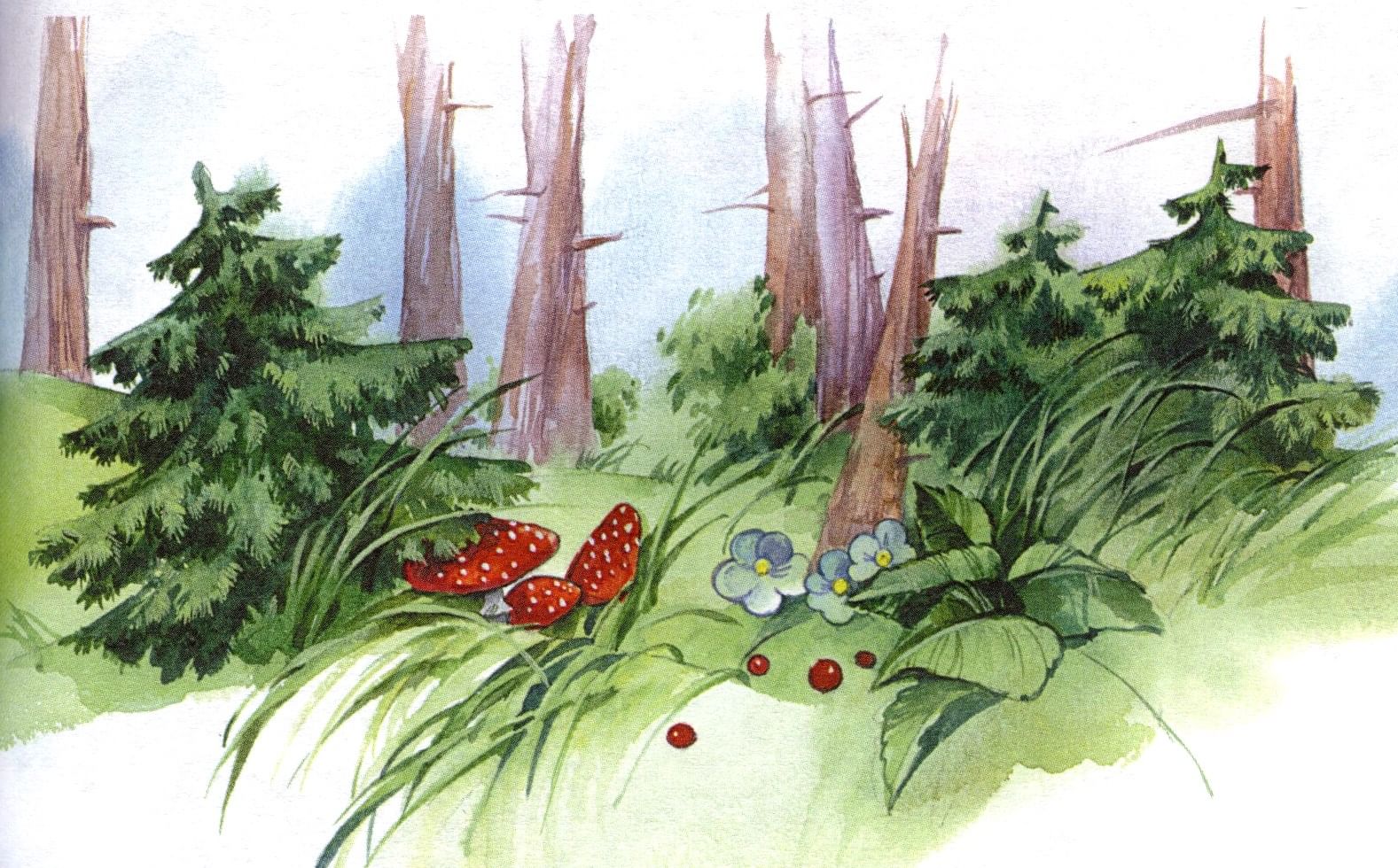 картинки про лес и природу для детей